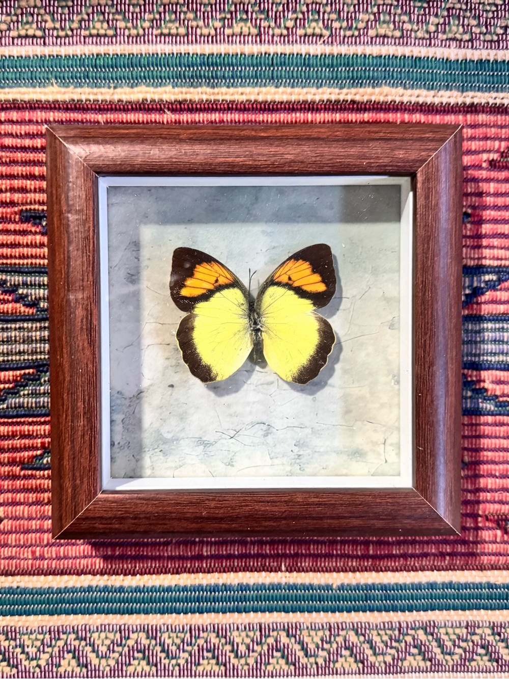 Framed Yellow Butterfly Wall Art - Home Accents